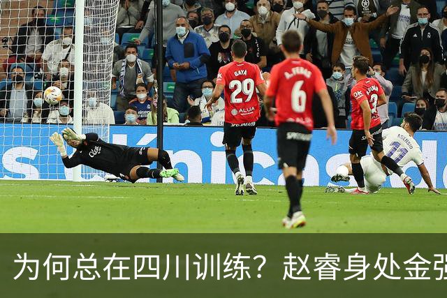 为何总在四川训练？赵睿身处金强苦练 他真娶了四川老婆？